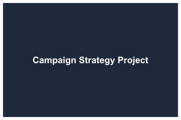 Campaign Strategy Project